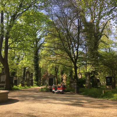Frühlingsspaziergang im Park